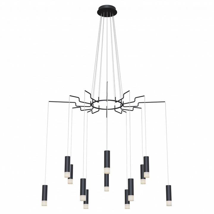 Подвесная люстра Maytoni Davida MOD035PL-12B