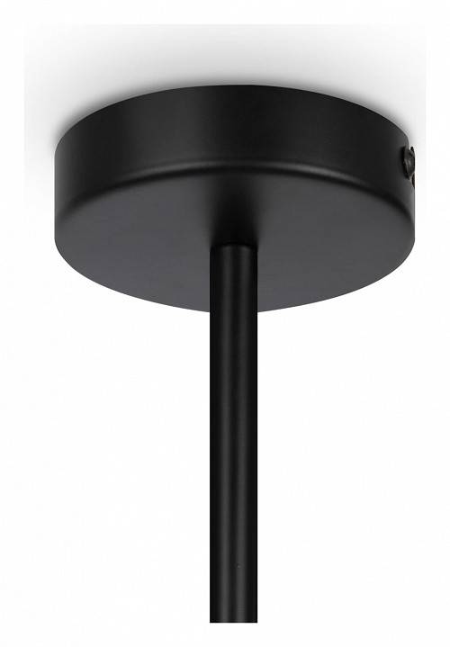 Люстра на штанге Maytoni Memory MOD177PL-04B