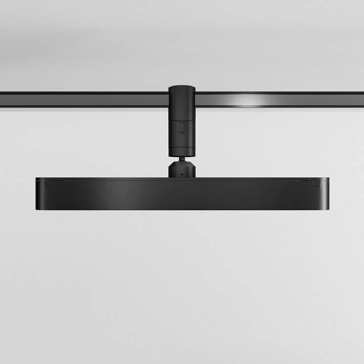 Светильник на штанге Maytoni Points Rot TR203-1-10W3K-S-B