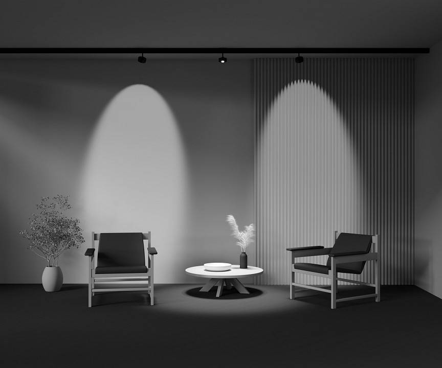 Светильник на штанге Maytoni Lens TR217-4-15WTW-DD-B