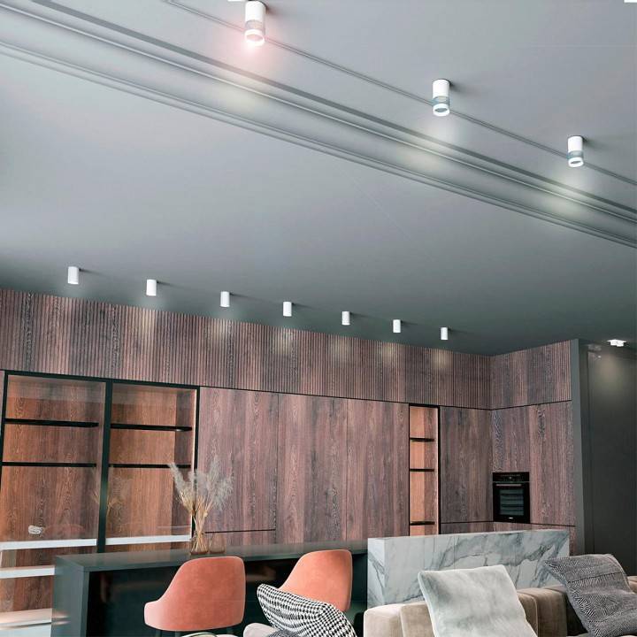 Накладной светильник Novotech Elina 1xGU10 370730