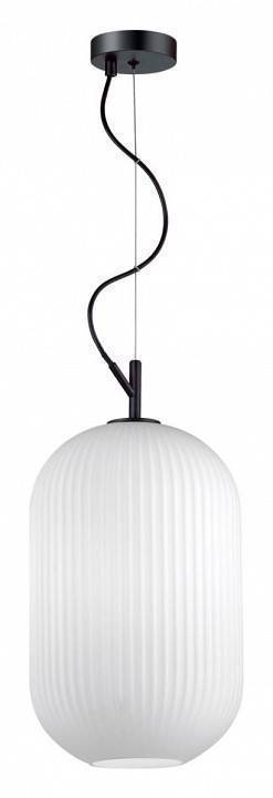 Подвесной светильник Odeon Light Roofi 4752/1