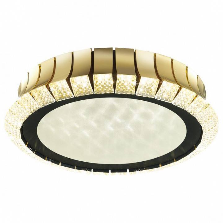 Светильник накладной Odeon Light Asturo 4994/75L