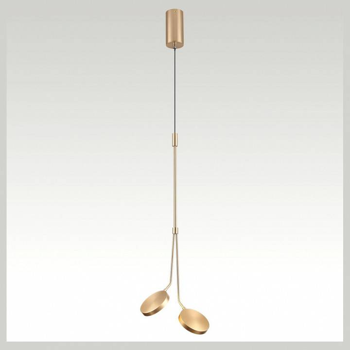 Подвесной светильник Odeon Light Maro 5011/16L