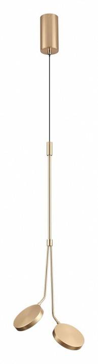 Подвесной светильник Odeon Light Maro 5011/16L