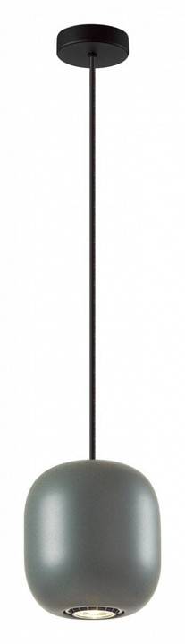 Подвесной светильник Odeon Light Cocoon 5060/1EA