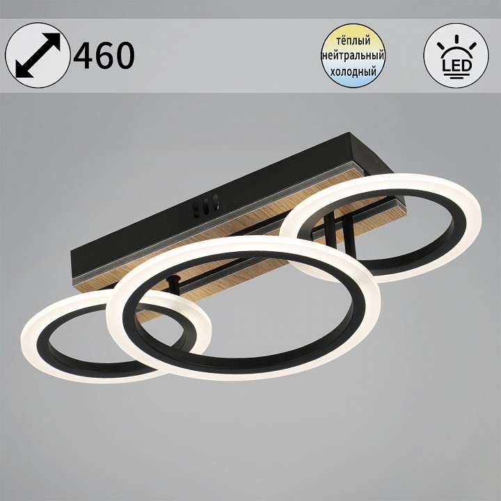 Потолочная люстра  00330-0.3-2+1