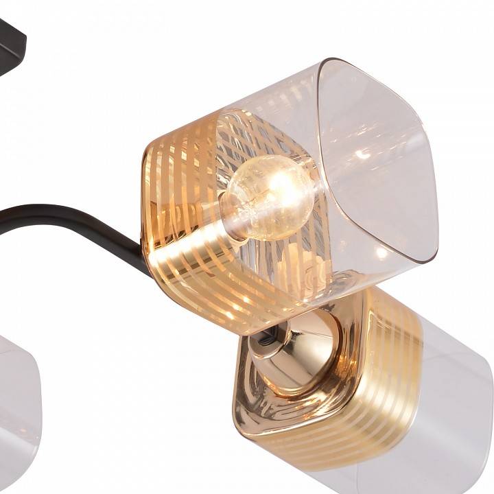 Люстра на штанге Reluce 01615 01615-0.3-06 BK+FGD