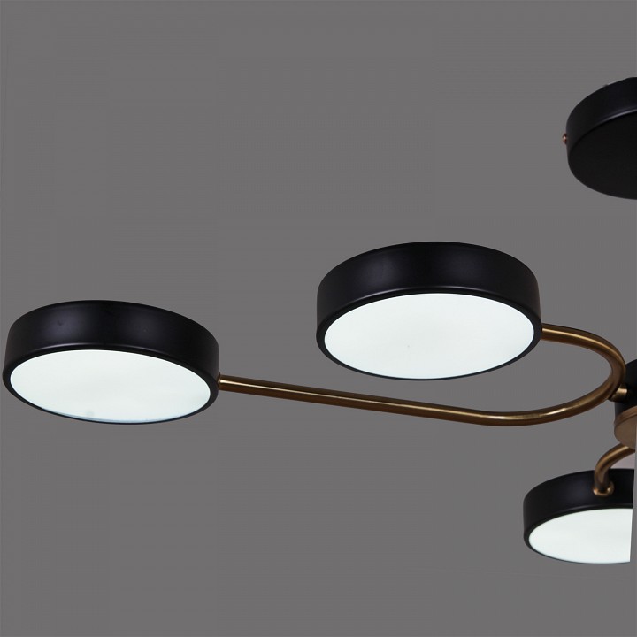 Люстра на штанге 03325-0.3-06 BK+COPPER