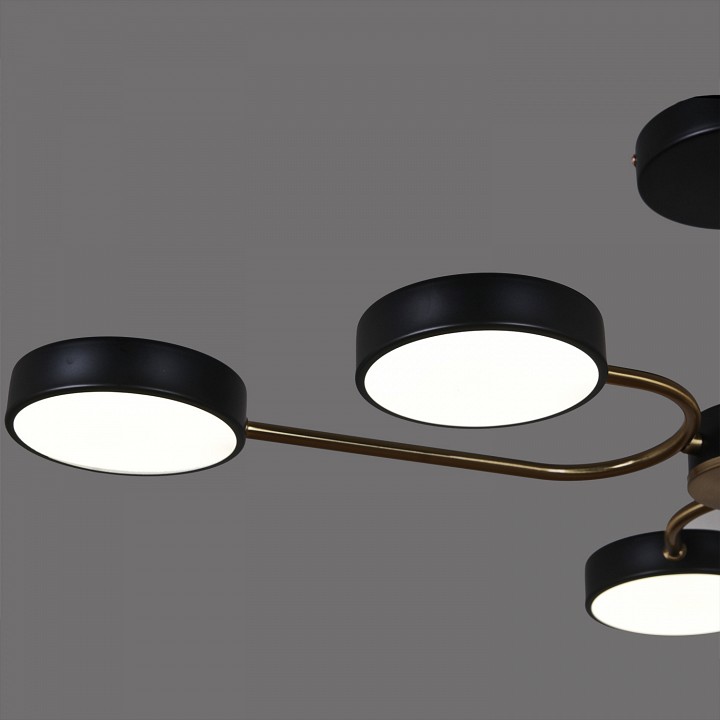 Люстра на штанге 03325-0.3-06 BK+COPPER