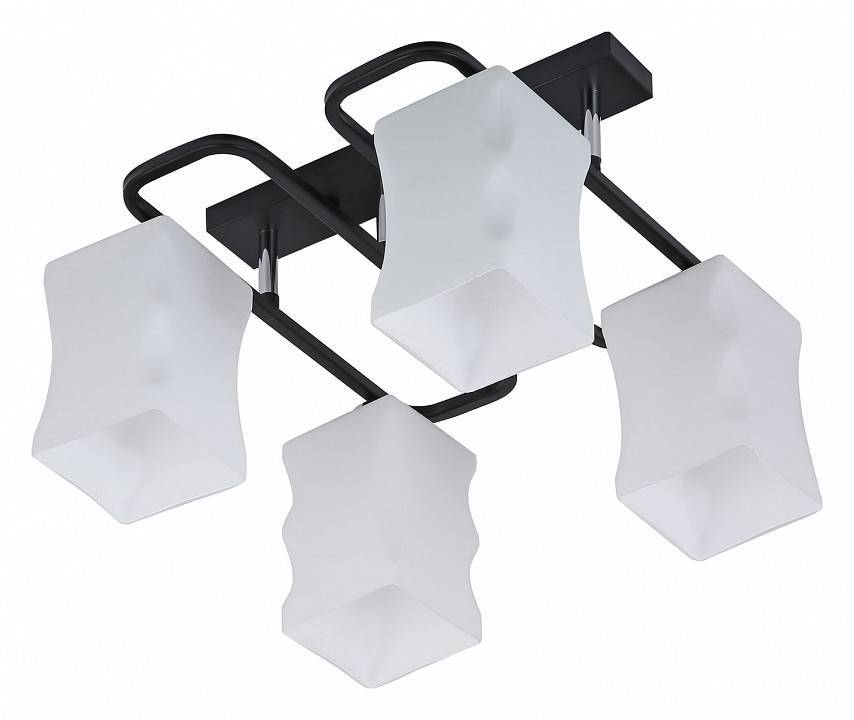 Люстра на штанге 06595-0.3-04