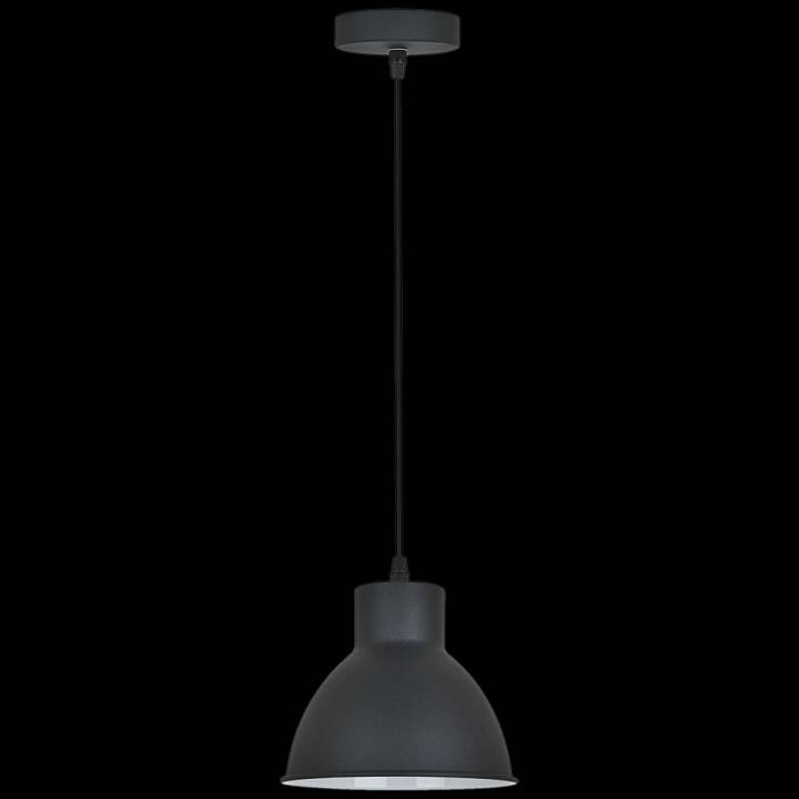 Подвесной светильник Reluce 08032-0.9-01S BK