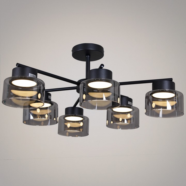 Люстра на штанге De City 47010-0.3-06 BK 6 ламп 47010-0.3-06 BK