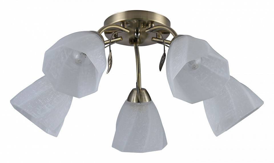 Потолочная люстра Rivoli Olivia 6x40 Вт E14 Б0052693