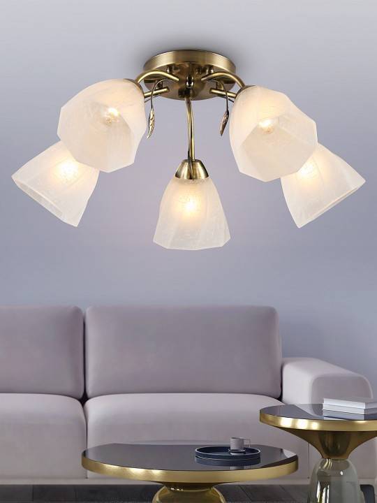 Потолочная люстра Rivoli Olivia 6x40 Вт E14 Б0052693