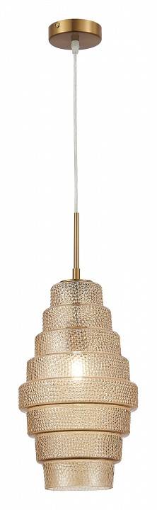 Подвесной светильник ST-Luce Rexite SL1001.203.01