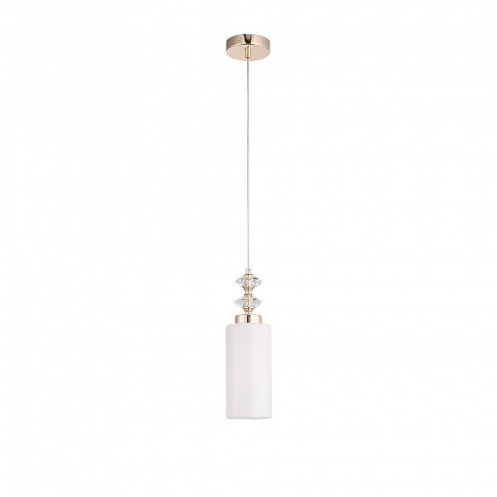 Подвесной светильник ST-Luce Elegra SL1402.253.01