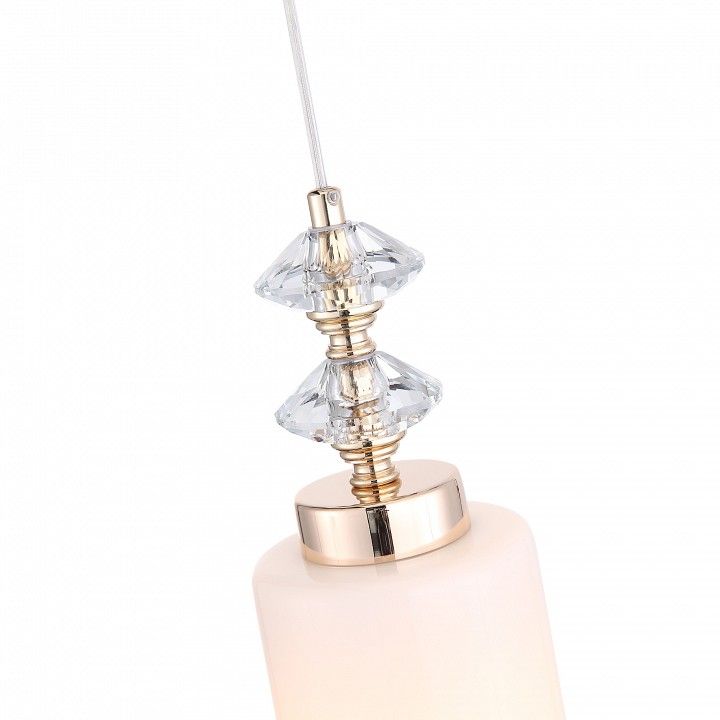 Подвесной светильник ST-Luce Elegra SL1402.253.01