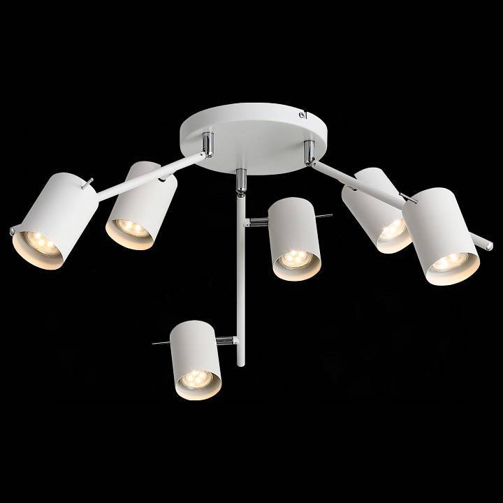 Потолочная люстра ST-Luce Fanale 6 ламп SL597.502.06