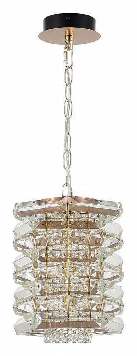 Подвесной светильник ST-Luce STROZZI SL6137.203.01
