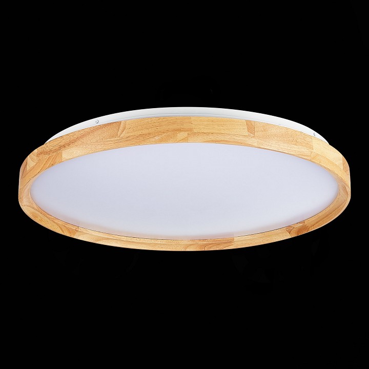 Накладной светильник EVOLUCE DELIA SLE201382-01