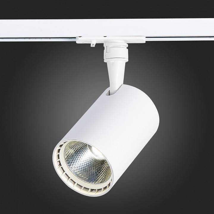 Светильник на штанге ST-Luce Cami ST351.536.15.24