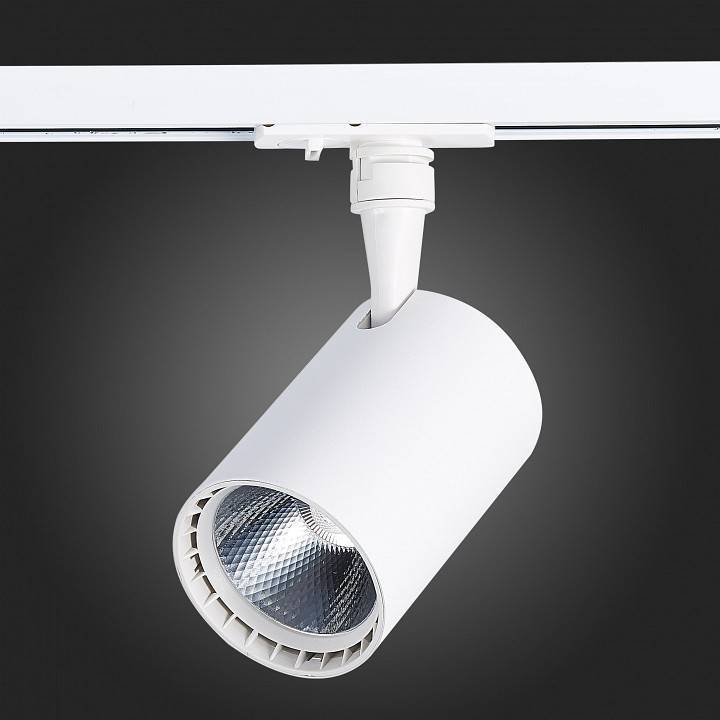 Светильник на штанге ST-Luce Cami ST351.536.15.24