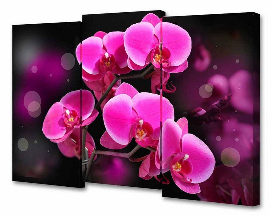 Набор из 3 картин TopLight TL-M2074