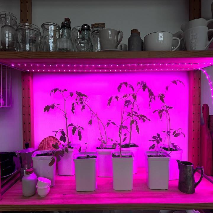 Комплект светодиодной ленты для растений Uniel ULS-P77 5 м IP20 UL-00006216