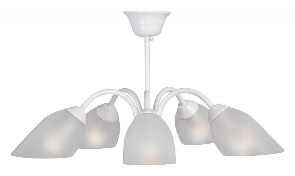 Люстра на штанге Vitaluce V3336 5 ламп V3336-0/5PL