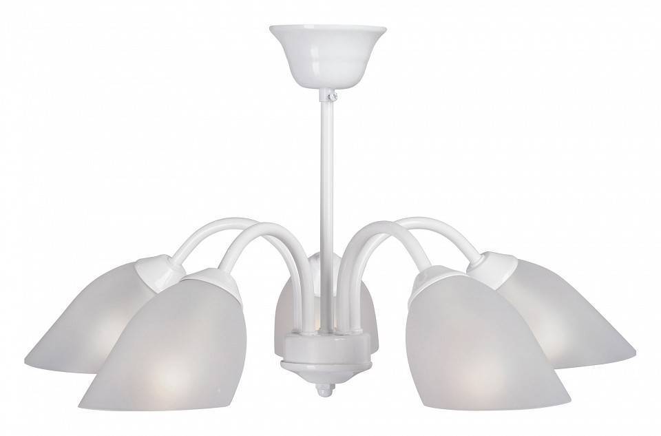 Люстра на штанге Vitaluce V3336 5 ламп V3336-0/5PL