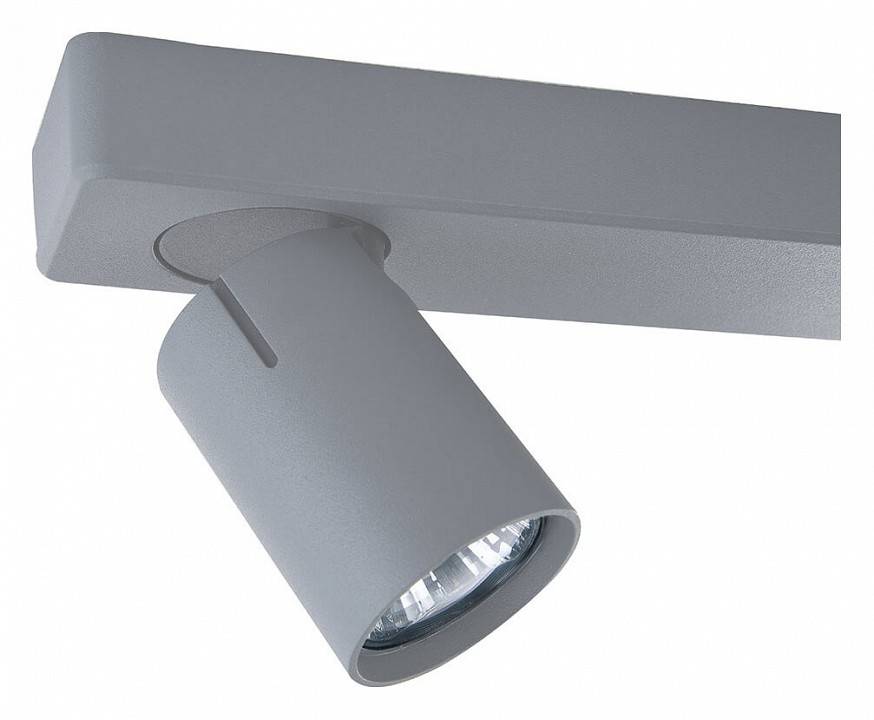 Спот Vele Luce Carrisi 2 лампы VL8067S02