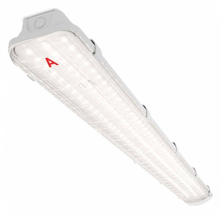 Накладной светильник WoltaPRO  ДСП04-54-042-4К