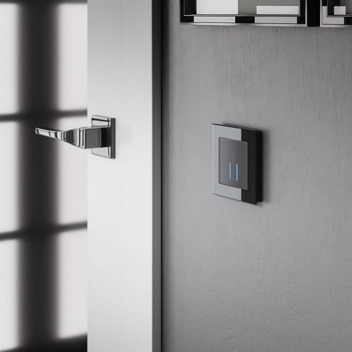 Выключатель сенсорный 2-клавишный Werkel Wi-Fi с подсветкой черный W4520608