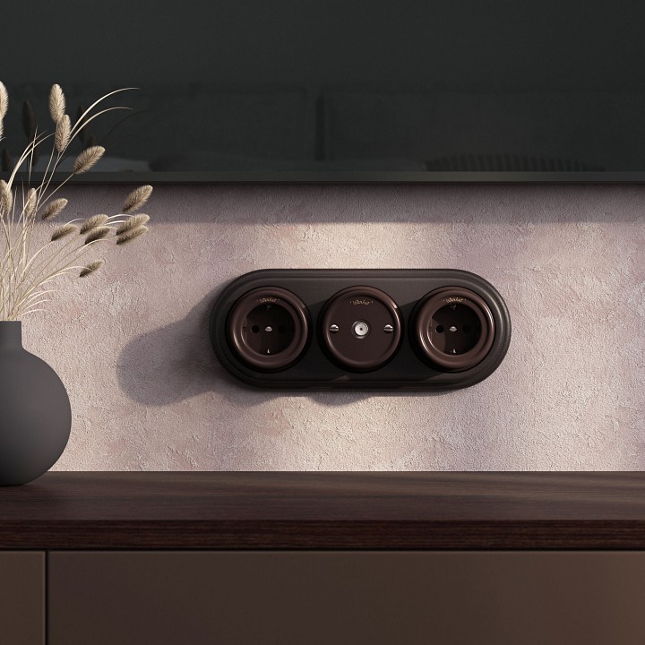 ТВ-розетка Werkel  W5683014