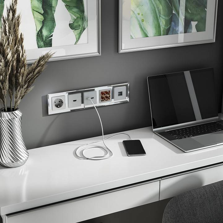 Розетка с заземлением и шторками без рамки Werkel серебряный W1171306