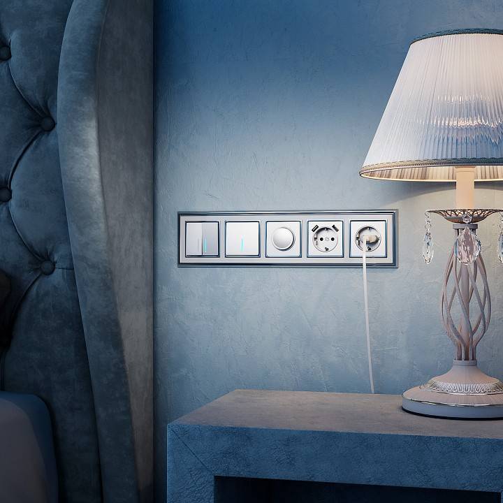 Розетка с заземлением и шторками без рамки Werkel серебряный W1171306