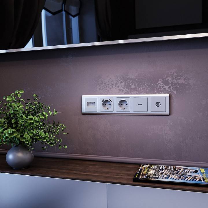 Розетка с заземлением и шторками без рамки Werkel серебряный W1171306