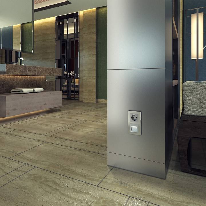 Розетка с заземлением без рамки Werkel серебряный W1171006