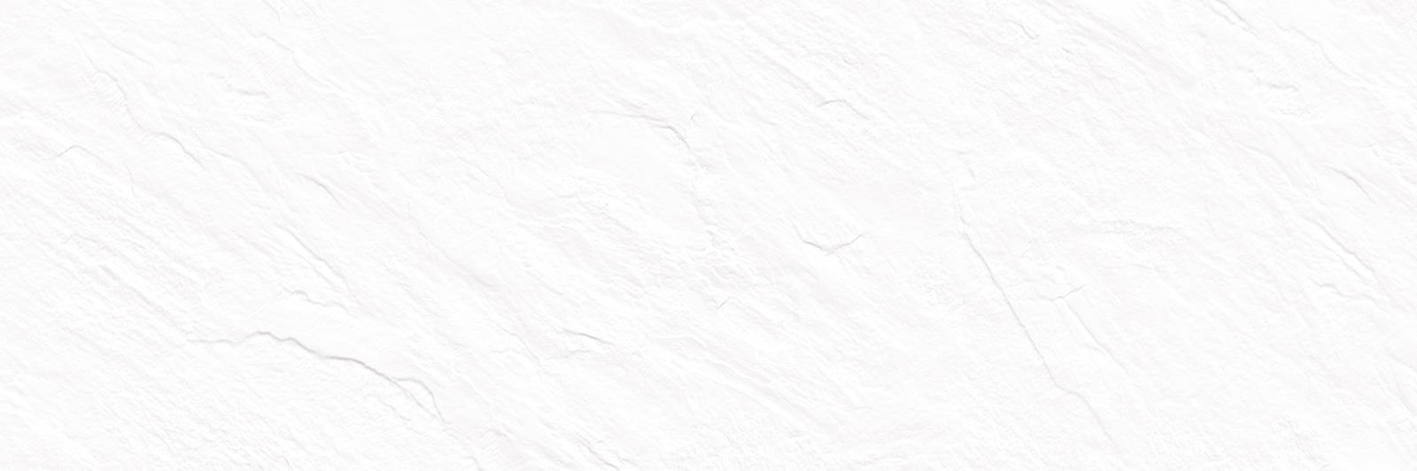 Плитка настенная Alma Ceramica Leon White 24,6х74 см WT15LEN00R