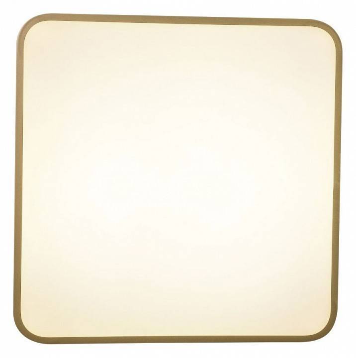 Накладной светильник Zortes Gabby ZRS.1215.03