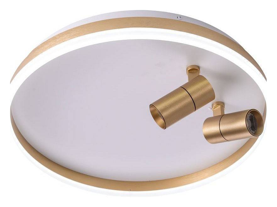 Накладной светильник Zortes Raizy ZRS.1888.02