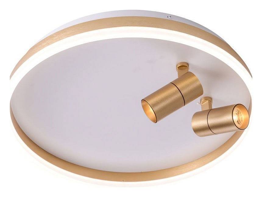 Накладной светильник Zortes Raizy ZRS.1888.02