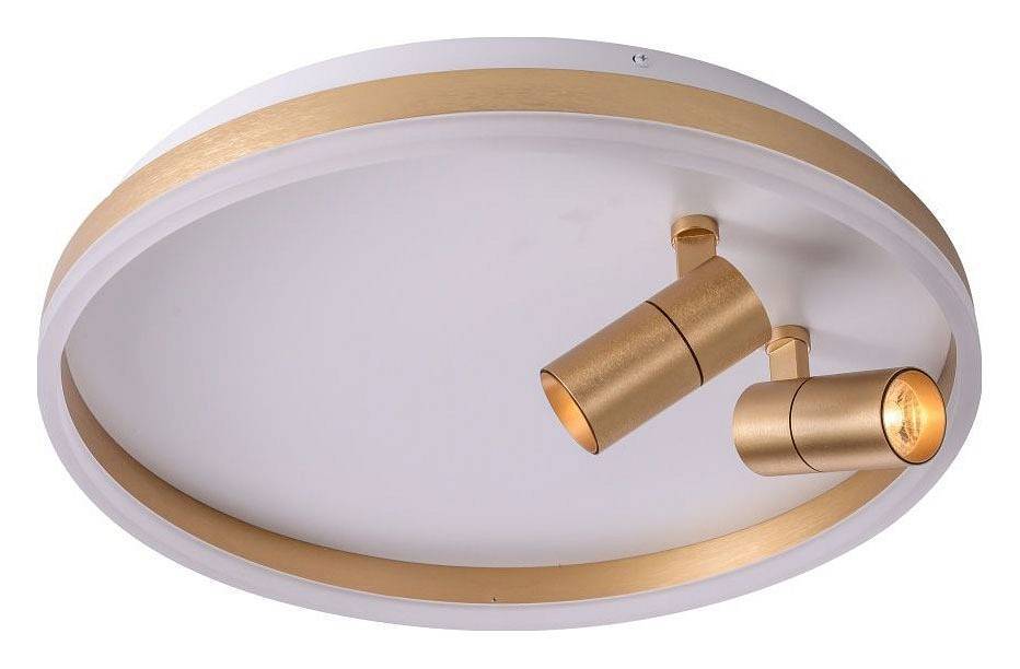 Накладной светильник Zortes Raizy ZRS.1888.02