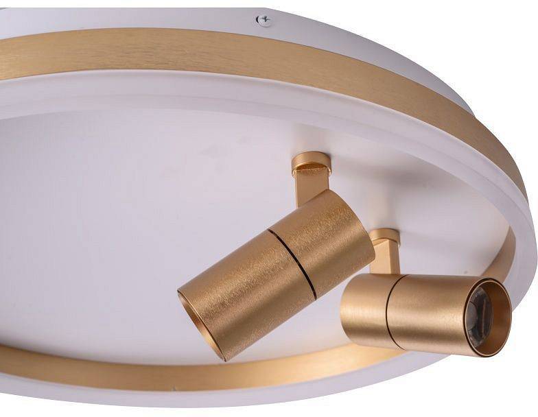 Накладной светильник Zortes Raizy ZRS.1888.02