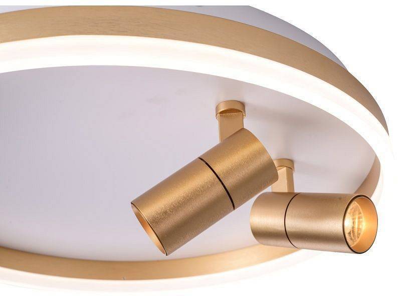 Накладной светильник Zortes Raizy ZRS.1888.02