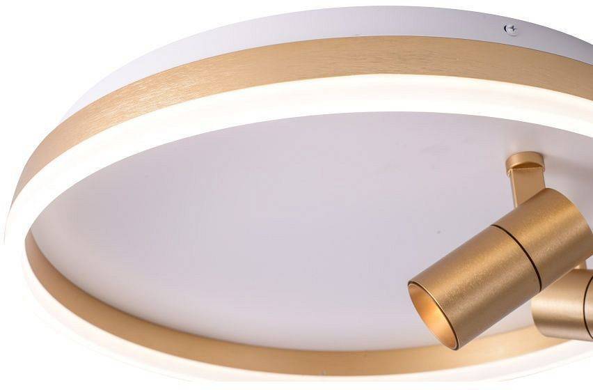 Накладной светильник Zortes Raizy ZRS.1888.02