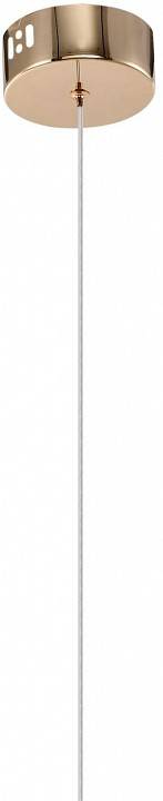 Подвесной светильник Zortes RINGER ZRS.57792.17