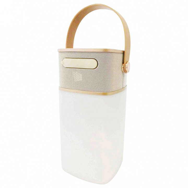 Фонарь кемпинговый Apeyron Electrics  11-104