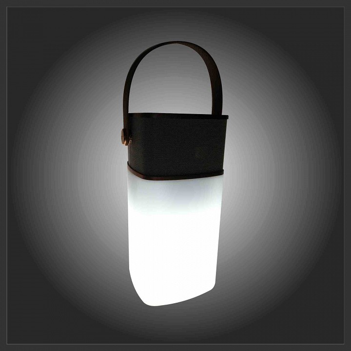 Фонарь кемпинговый Apeyron Electrics  11-104